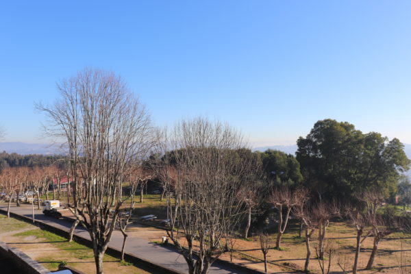 Parque N. S. Saúde